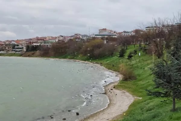 Avcılar Belediyesi İğdelik Parkı - Resim 18