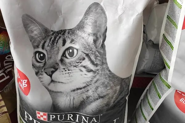 BUĞRA PET SHOP - Resim 4