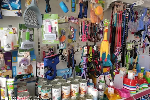 BUĞRA PET SHOP - Resim 2