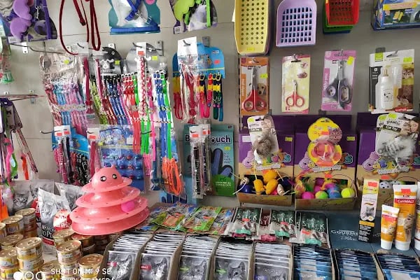 BUĞRA PET SHOP - Resim 7