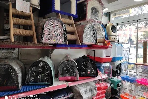 BUĞRA PET SHOP - Resim 6