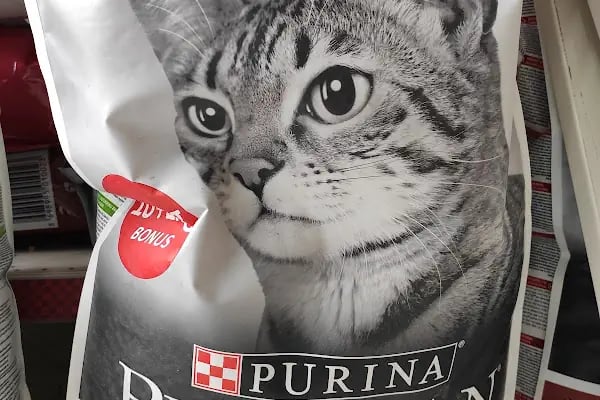 BUĞRA PET SHOP - Resim 3