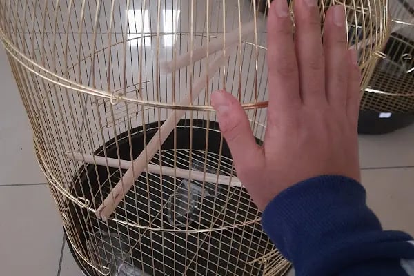 Mıncır Pet Market - Resim 6
