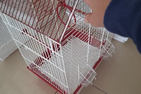 Mıncır Pet Market - Resim 10