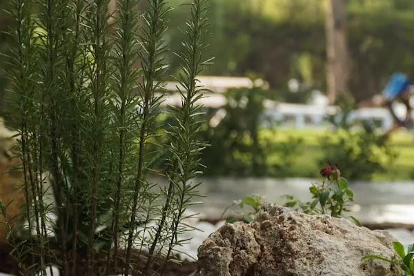 Tabakçı Otel&amp;Restaurant - Resim 8
