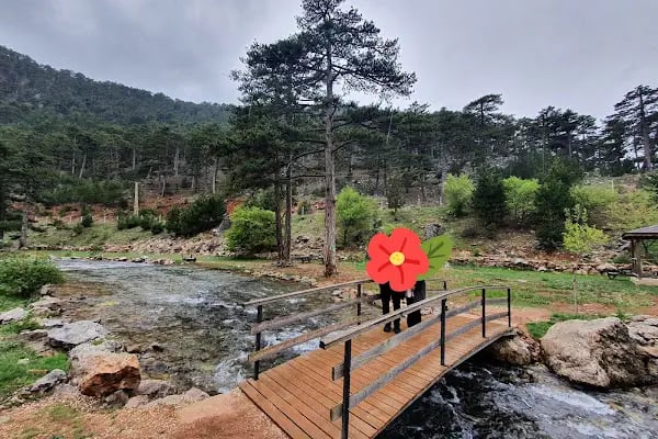 Başpınar Tabiat Parkı Kamp ve Piknik Alanı - Resim 20