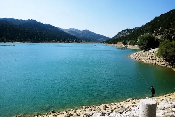 Başpınar Tabiat Parkı Kamp ve Piknik Alanı - Resim 9