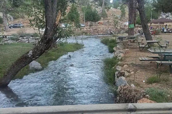 Başpınar Tabiat Parkı Kamp ve Piknik Alanı - Resim 4