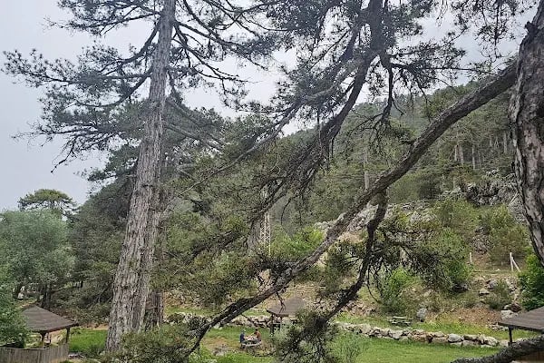 Başpınar Tabiat Parkı Kamp ve Piknik Alanı - Resim 8