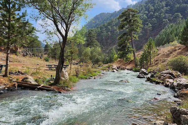 Başpınar Tabiat Parkı Kamp ve Piknik Alanı - Resim 2