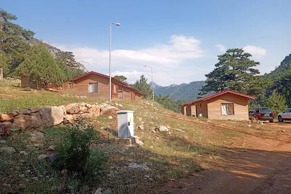 Başpınar Tabiat Parkı Kamp ve Piknik Alanı - Resim 12