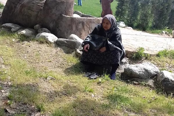 ŞELALE YEŞİL VADİ KIR DÜĞÜN ALANI - Resim 15
