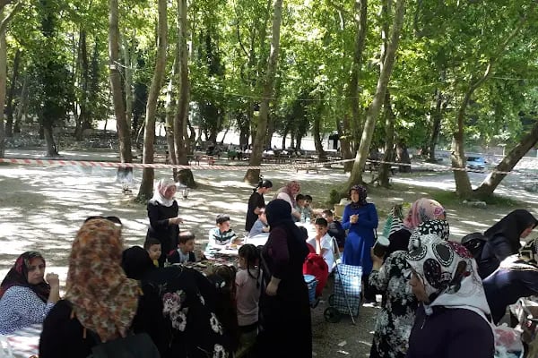 ŞELALE YEŞİL VADİ KIR DÜĞÜN ALANI - Resim 14