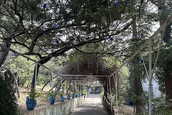 Yücetepe Restoran &amp; Kafe - Resim 20