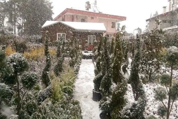 Sidre Peyzaj - Resim 10