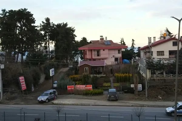 Sidre Peyzaj - Resim 1