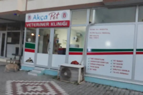 AkçaPet Veteriner Kliniği - Resim 5