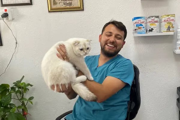 Egem Veteriner Kliniği - Resim 20