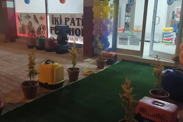 İki Pati Petshop - Resim 13