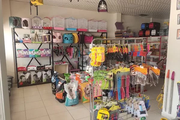 İki Pati Petshop - Resim 3