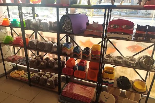 İki Pati Petshop - Resim 2