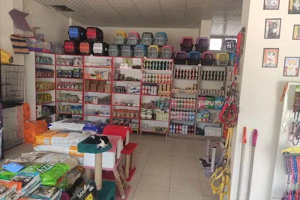 İki Pati Petshop - Resim 6