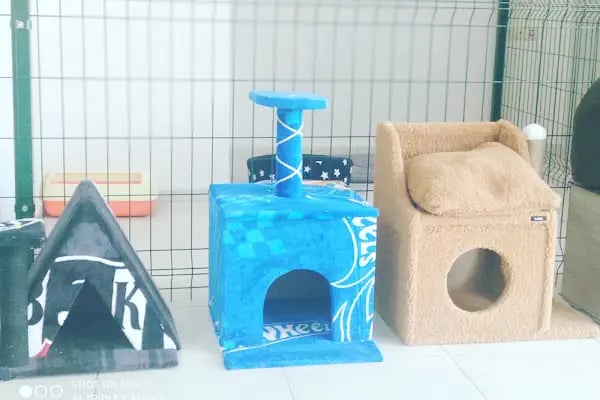 İki Pati Petshop - Resim 16