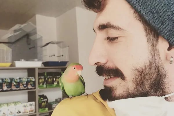 İki Pati Petshop - Resim 18