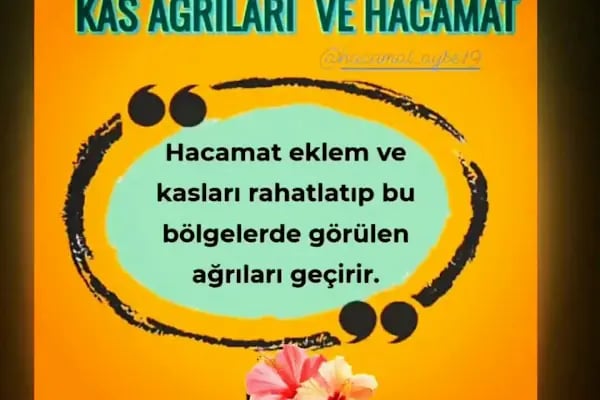 HACAMAT BEYPAZARI - Resim 19