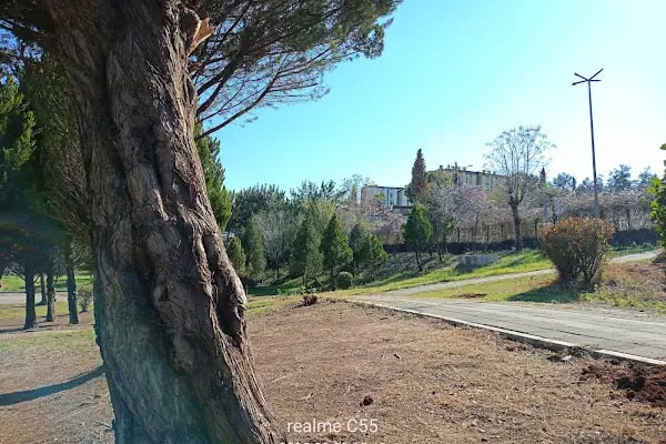 Çukurova Kaymakamlığı - Resim 10