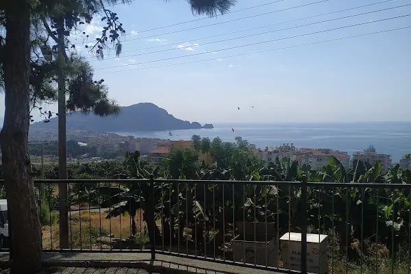 Melahat Seher İöo - Resim 3