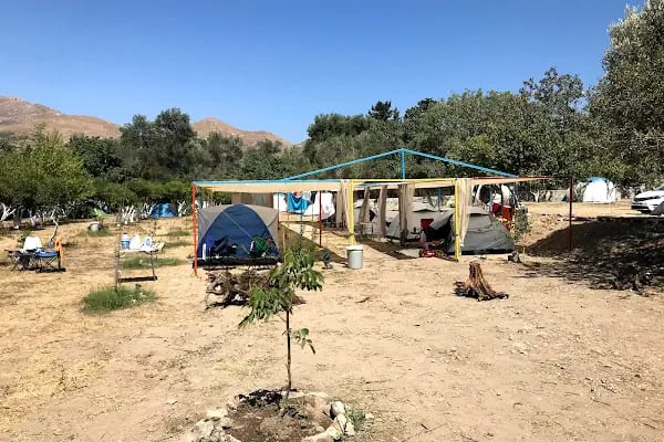 Bodrum Masali Camping - Resim 11