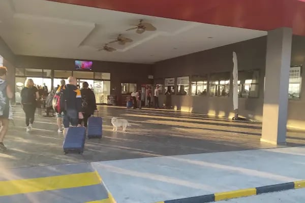 Tekirdağ feribot iskelesi - Resim 6