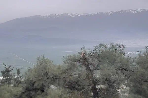 Gürsu Kule Orman Parkı - Resim 18