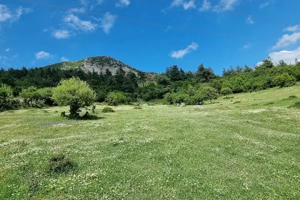 Gürsu Kule Orman Parkı - Resim 13