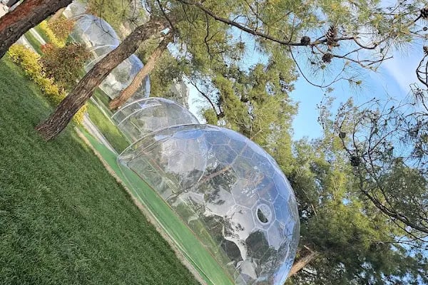 Gürsu Kule Orman Parkı - Resim 20