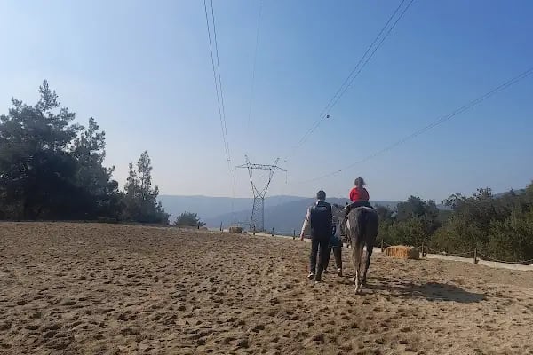 Gürsu Kule Orman Parkı - Resim 17