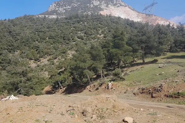 Gürsu Kule Orman Parkı - Resim 5