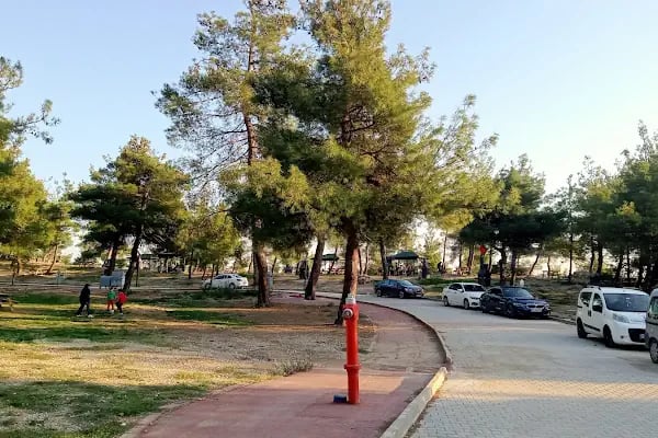 Gürsu Kule Orman Parkı - Resim 1