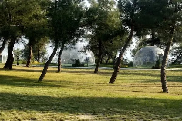 Gürsu Kule Orman Parkı - Resim 3