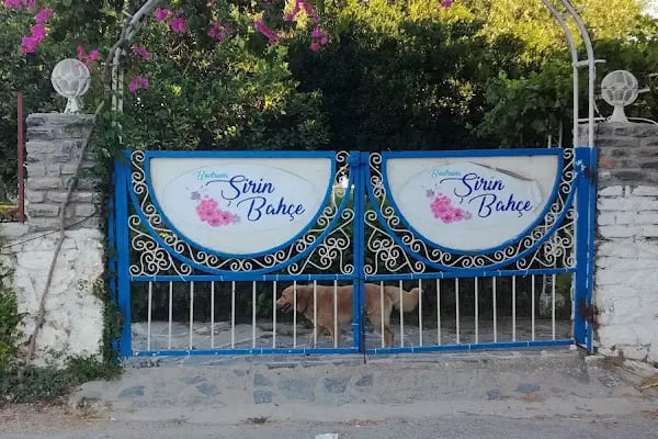 Şirin Bahçe Bodrum - Resim 11