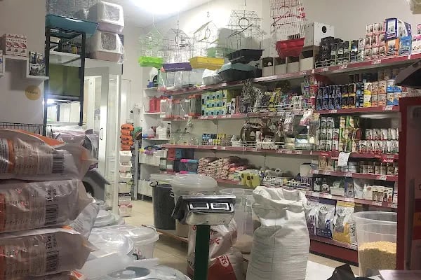 GünKar Petshop - Resim 3