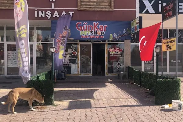 GünKar Petshop - Resim 15