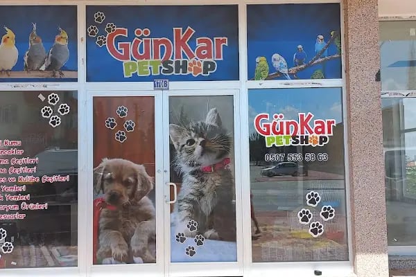 GünKar Petshop - Resim 16