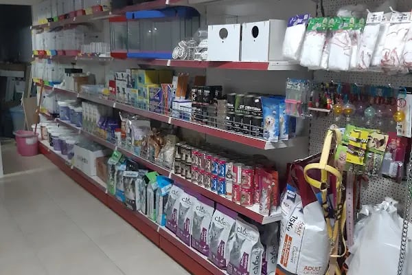 GünKar Petshop - Resim 7