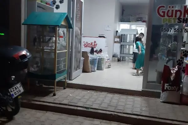 GünKar Petshop - Resim 13