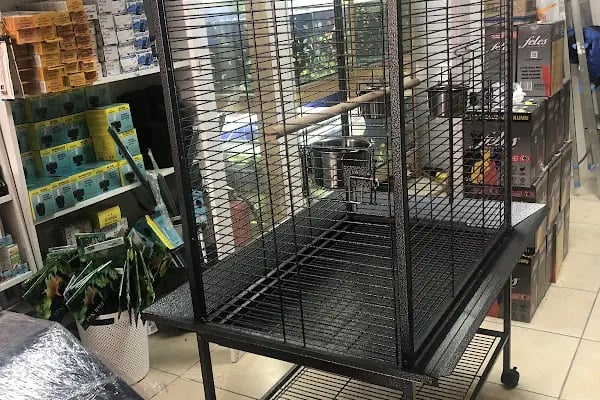 GünKar Petshop - Resim 10