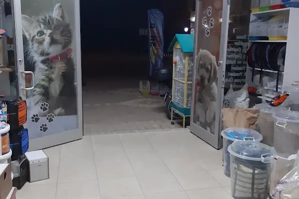 GünKar Petshop - Resim 17