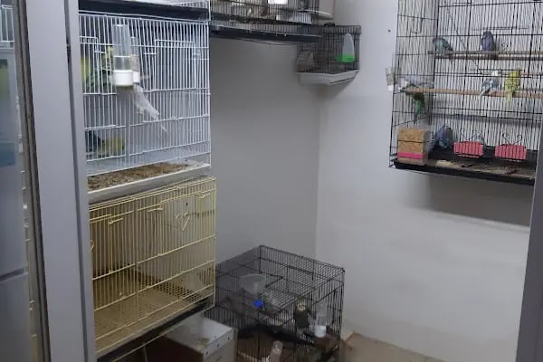 GünKar Petshop - Resim 9