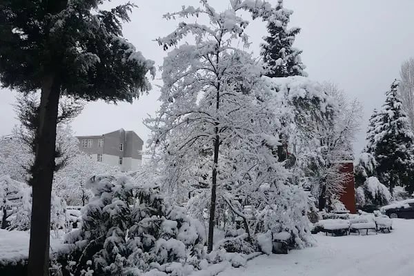 Alaçam Meslek Yüksekokulu - Resim 19